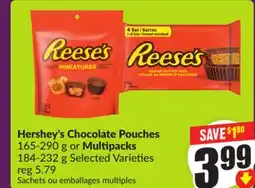 Chalo FreshCo Hershey's Chocolate Pouches 165-290 g or Multipacks 184-232 g Selected Varieties offer