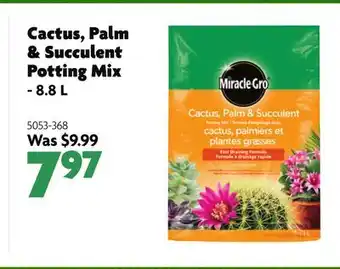 Home Hardware Cactus, Palm & Succulent Potting Mix offer