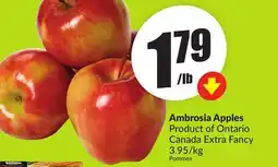 FreshCo Ambrosia Apples Product of Ontario Canada Extra Fancy 3.95/kg offer