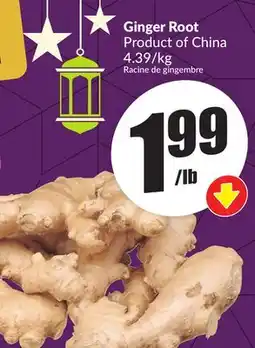 FreshCo Ginger Root Product of China 4.39/kg offer