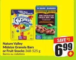 FreshCo Nature Valley Midsize Granola Bars or Fruits Snacks 368-525 g offer