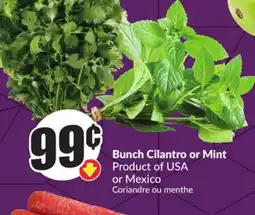 FreshCo Bunch Cilantro or Mint Product of USA or Mexico offer