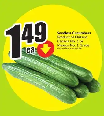 FreshCo Seedless Cucumbers Product of Ontario Canada No. 1 or Mexico No. 1 Grade offer