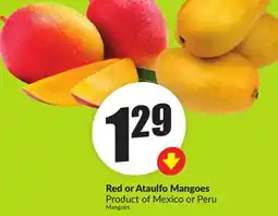 FreshCo Red or Ataulfo Mangoes Product of Mexico or Peru offer