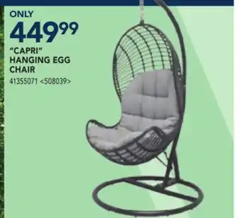 RONA CAPRI HANGING EGG CHAIR offer