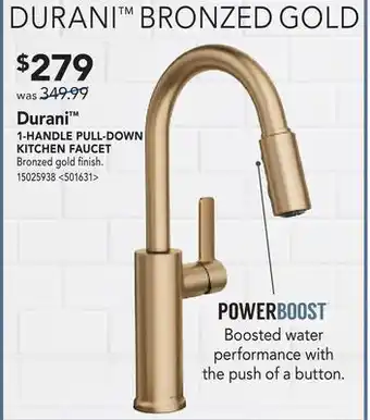 RONA DURANI 1-HANDLE PULL DOWN KITCHEN FAUCET offer