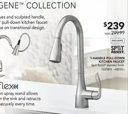 RONA MOEN 1-HANDLE PULL-DOWN KITCHEN FAUCET offer