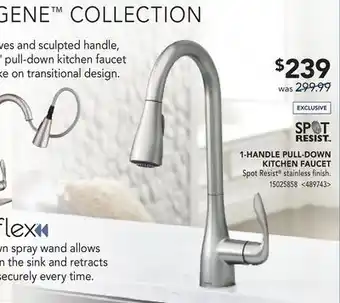 RONA MOEN 1-HANDLE PULL-DOWN KITCHEN FAUCET offer