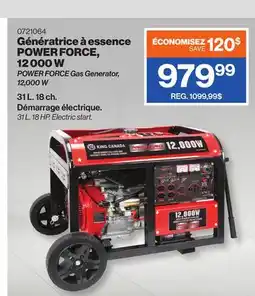 Patrick Morin POWER FORCE Gas Generator, 12,000 W offer