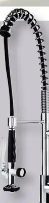 Patrick Morin KARI Kitchen Faucet offer