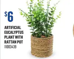 Canac Artificial Eucalyptus Plant with Rattan Pot offer