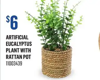 Canac Artificial Eucalyptus Plant with Rattan Pot offer