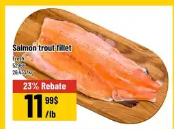 Mayrand Salmon trout fillet offer