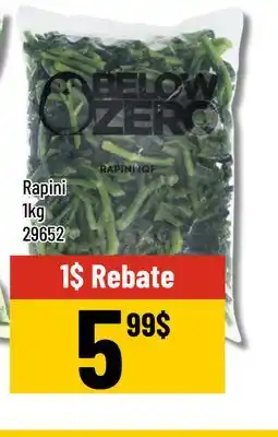 Mayrand Below Zero Rapini offer