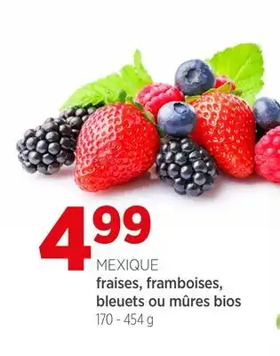 Avril fraises, framboises, bleuets ou mûres bios offer