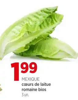 Avril cœurs de laitue romaine bios offer