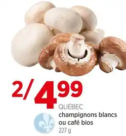 Avril Champignons blancs ou café bios offer