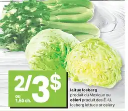 L'Intermarché LAITUE ICEBERG offer