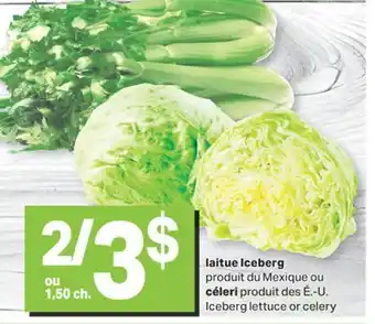 L'Intermarché LAITUE ICEBERG offer