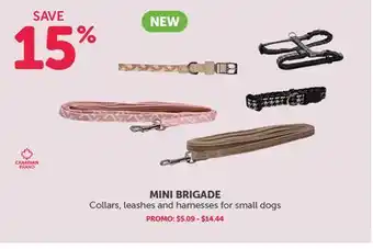 Mondou MINI BRIGADE Collars, leashes and harnesses for small dogs offer