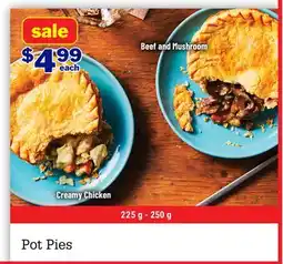 M & M Food Market Pot Pies offer