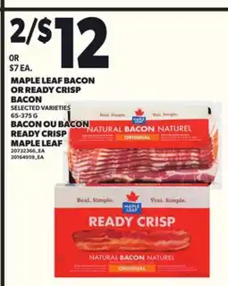 Independent City Market MAPLE LEAF BACON OR READY CRISP BACON, 65-375 G offer