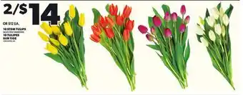 Independent City Market 10 TULIPES SUR TIGE offer