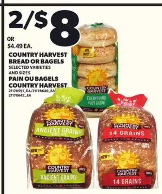 Independent City Market COUNTRY HARVEST BREAD OR BAGELS offer