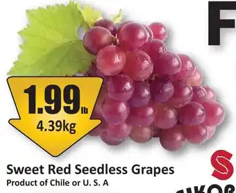 Starsky Sweet Red Seedless Grapes offer