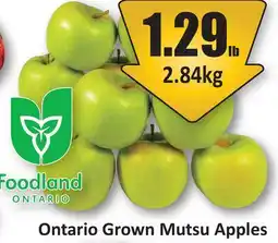 Starsky Ontario Grown Mutsu Apples offer