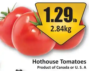 Starsky Hothouse Tomatoes offer