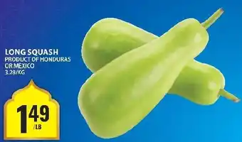 Food Basics Long squash offer