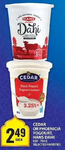 Food Basics Cedar or phoenicia yogourt, hans dahi offer