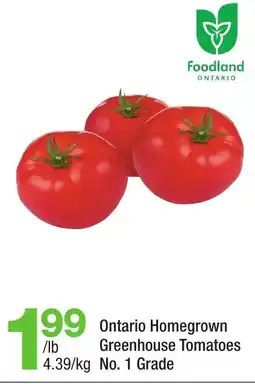 Highland Farms Ontario Homegrown Greenhouse Tomatoes offer