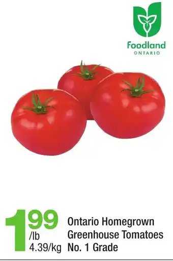 Highland Farms Ontario Homegrown Greenhouse Tomatoes offer