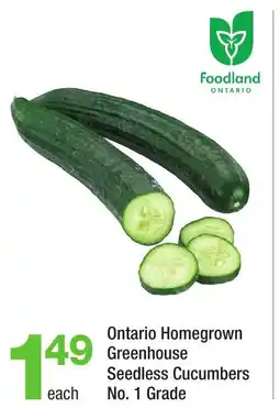 Highland Farms Ontario Homegrown Greenhouse seedless cucumbers no.1 grade offer