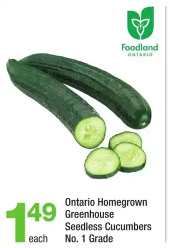 Highland Farms Ontario Homegrown Greenhouse seedless cucumbers no.1 grade offer