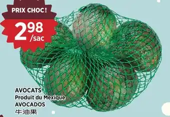 Kim Phat AVOCADOS offer