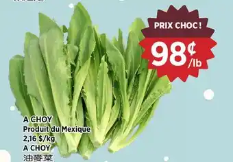 Kim Phat A CHOY offer