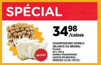 Kim Phat SHIMEJI MUSHROOMS (WHITE OR BROWN) offer