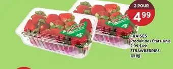 Kim Phat STRAWBERRIES offer