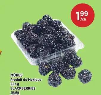 Kim Phat BLACKBERRIES offer