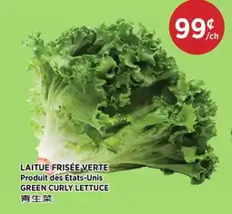 Kim Phat GREEN CURLY LETTUCE offer