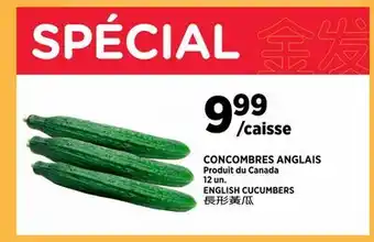 Kim Phat ENGLISH CUCUMBERS offer