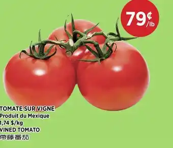 Kim Phat VINED TOMATO offer