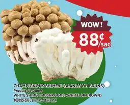 Kim Phat WHITE SHIMEJI MUSHROOMS (WHITE OR BROWN) offer