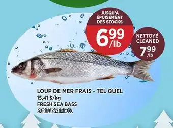 Kim Phat FRESH SEA BASS offer