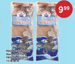 Kim Phat Marco Polo FROZEN OCTOPUS offer