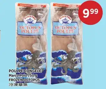 Kim Phat Marco Polo FROZEN OCTOPUS offer