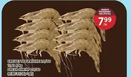 Kim Phat FRESH SHRIMP 20/30 offer